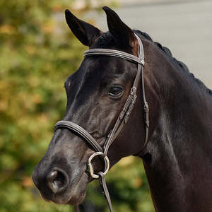 Bridles: Padded Fancy Stitch Hunt Bridle - Brown