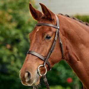 Flat Cavesson Bridle - Brown