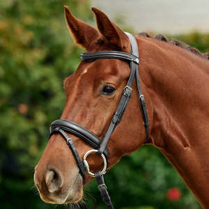 Bridles: Padded Flash Bridle - Black