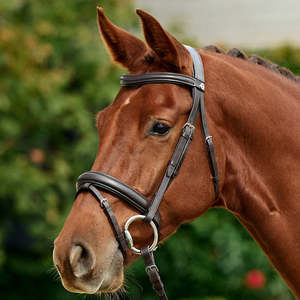 Bridles: Padded Flash Bridle - Brown