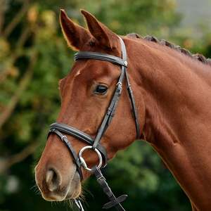 Bridles: Flash Bridle - Black Mini