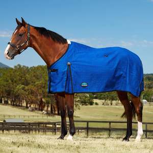 Rugs: Unlined Canvas Standard Neck - Blue/Black