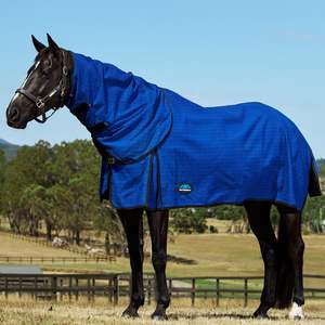 Rugs: Unlined Canvas Combo - Blue/Black