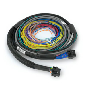 Wiring Harnesses And Connectivity Accessories: Haltech Nexus S2 and S3 - 2.5m wire-in harness