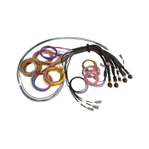 Haltech Nexus R5 wiring harness - 2.5m