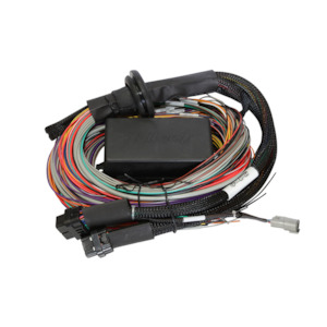 Haltech Elite 2500 wiring harness - premium