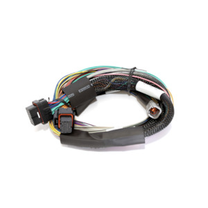 Haltech Elite 1500 wiring harness - basic