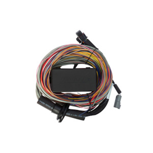 Haltech Elite 550 / 750 wiring harness - premium