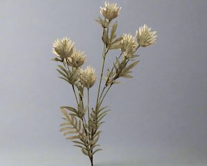 MILK THISTLE STEM