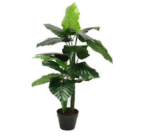 Stoneligh Roberson: 90CM TARO POT GREEN