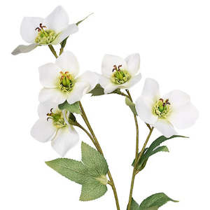 Artificial Flowers: 47cm Cream Hellebore Articicial Spray