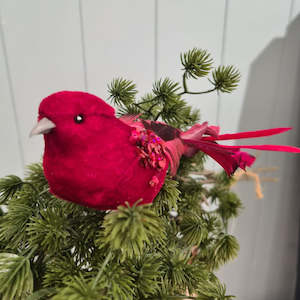 Christmas 1: 17cm Ava Red Clip Bird Decoration