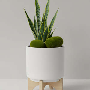 Artificial Moss Stone
