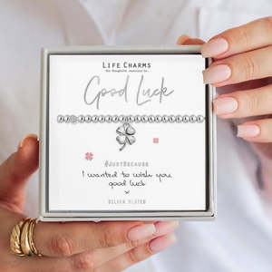 Novelty Gifts: Good Luck Life Charms Silver Bracelet