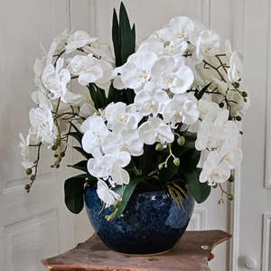 Fragrance: Côte Noire Luxury Giant Orchid