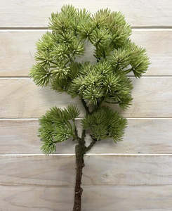 BONSAI SPRAY