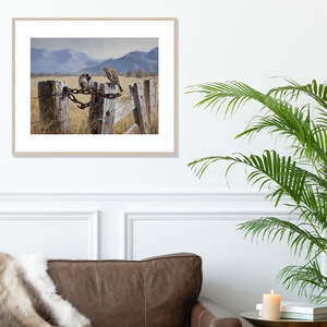 On the Fence Framed Artwork