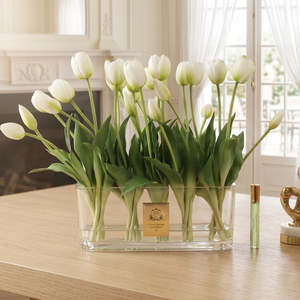 Cote Noire: Cote Noire White Oval Tulip Bouquet