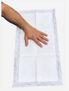 Incontinence Sheets: Haines TouchDry Absorbent Pads
