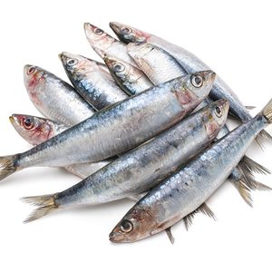 Raw Pawz Fish 1.2kg - Raw Pawz - Raw Meats for Cats & Dogs