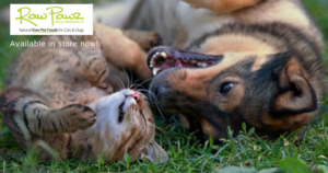 Products: Raw Pawz Wild Goat 1.2Kg - Raw Pawz - Raw Meats for Cats & Dogs