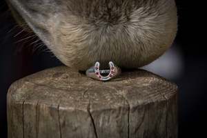 Ring: Horse Shoe Ring - Sterling Silver - Solid Shank - Garnets