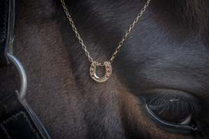 Pendant: Horse Shoe Pendant - 9ct Gold - Garnets