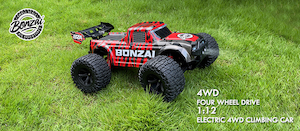 RC Cars & RC Trucks for sale with Fast 3 Day Shipping across NZ