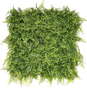 Fern Fusion ReadyLeaf