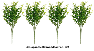 Artificial Japanese Boxwood