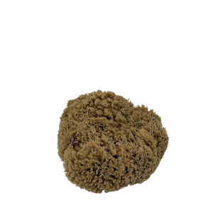 Sea Sponge - Natural Mediterranean