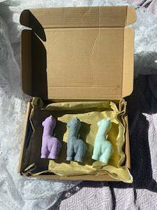 Gift Cards Vouchers: Llama candle gift box 💚