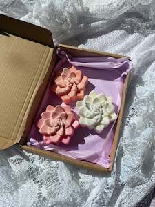 Gift Cards Vouchers: Succulent candle gift box 🧡