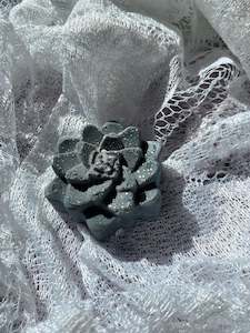 Black succulent candle