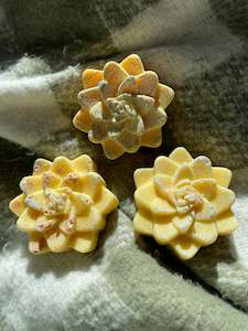 Yellow succulent candle