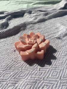 Succulent Candles: Orange succulent candle