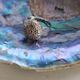 Large Kina Ring - Sterling Silver