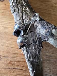 Earrings: Shell Drop Earrings - Sterling Silver