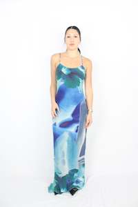 MAXI DRESS: Tiger Mist - Mesh Shell Dress