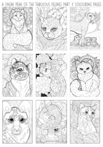 Fabulous Felines Colouring Pages Pack: A5 VERSION The Craft Marketplace