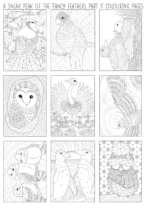 Fancy Feathers Colouring Pages Pack: PART 3 The Craft Marketplace