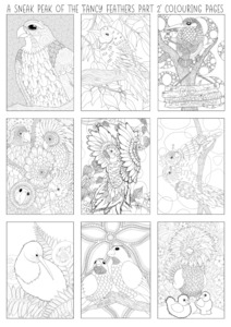 Fancy Feathers Colouring Pages Pack: PART 2 The Craft Marketplace