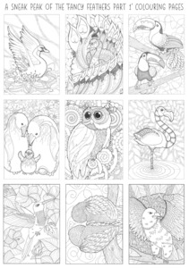 Fancy Feathers Colouring Pages Pack: PART 1 The Craft Marketplace