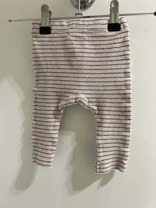 Wilson + Frenchy Tights