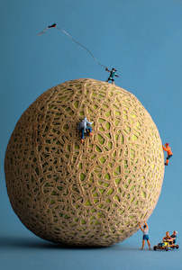 Adam Popovic: Cantaloopies