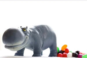 Adam Popovic: The Truth About Jellybeans