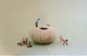 Adam Popovic: Bye Bye Bubble