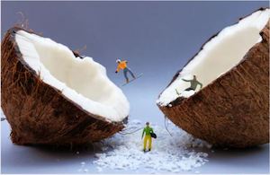 Adam Popovic: Shredded