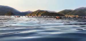 Tawhitinui Reach Pelorus Sound NZ