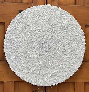 Ann Ciciani: Biophilia III